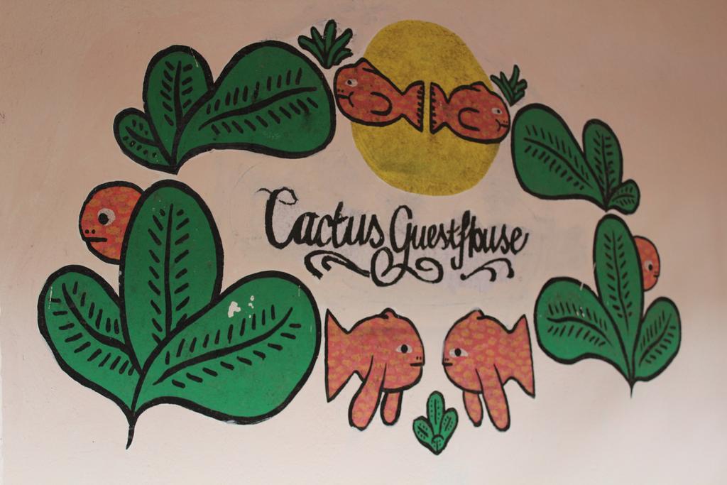 Cactus Guesthouse Arambol Exterior foto